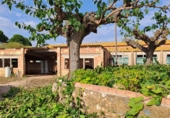 Rural estate for sale on España, Vila-seca, ref: TR381722 photo