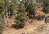 Parcel·la urbanitzable en venda a Torrelles de Llobregat ref.: TR110924 foto