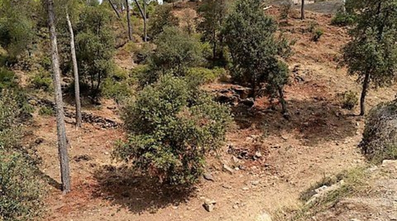Barcelona - Torrelles de Llobregat - 556m2