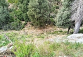 Parcel·la urbanitzable en venda a Torrelles de Llobregat ref.: TR110924 foto