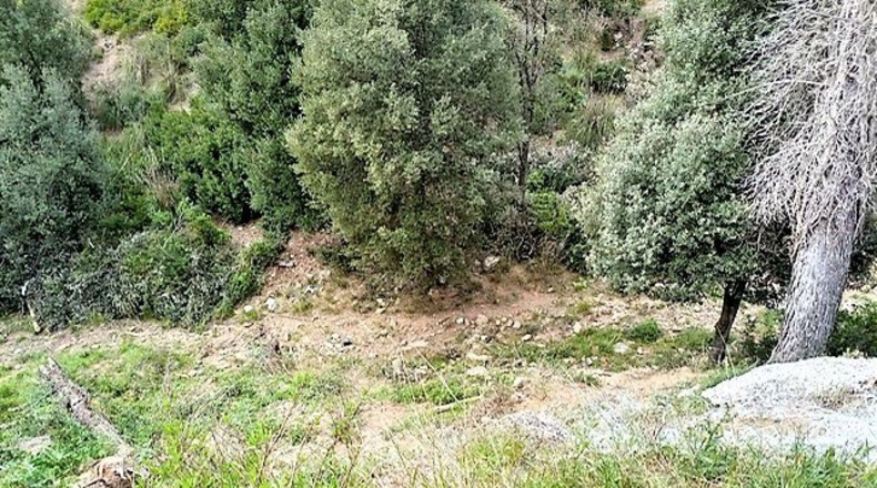 Barcelona - Torrelles de Llobregat - 556m2