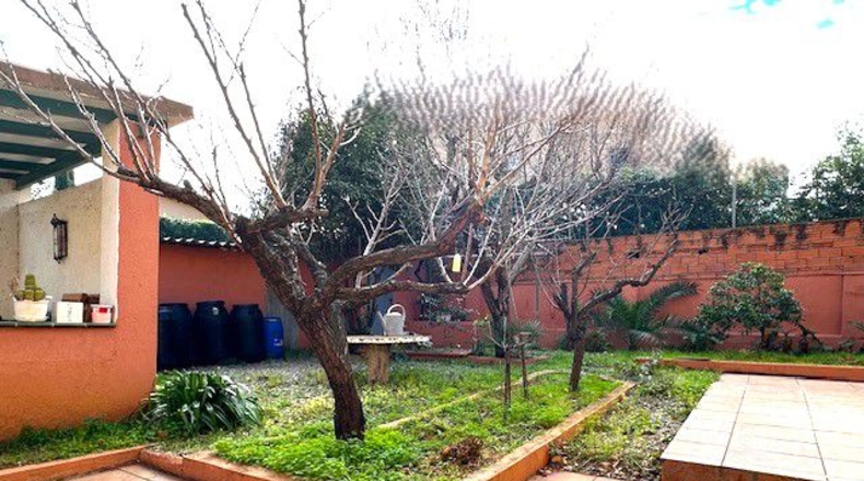 Barcelona - Sant Boi de Llobregat - 779m2