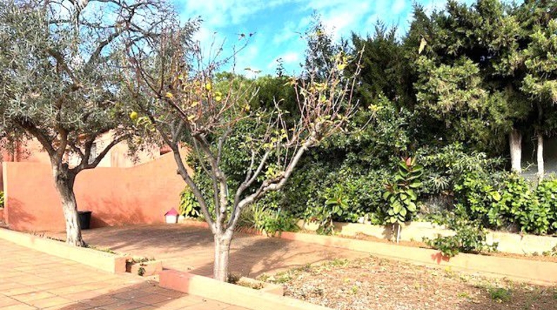 Barcelona - Sant Boi de Llobregat - 779m2