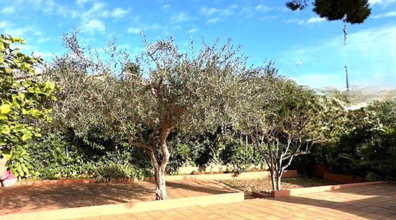 Barcelona - Sant Boi de Llobregat - 779m2