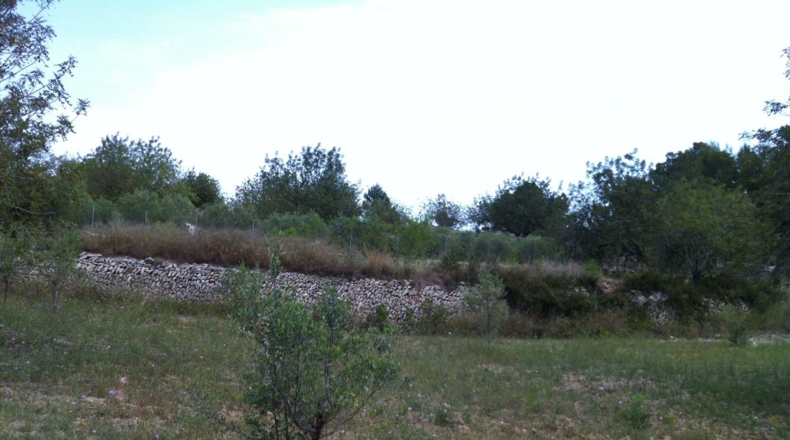Tarragona - la Pobla de Montornès - 30000m2