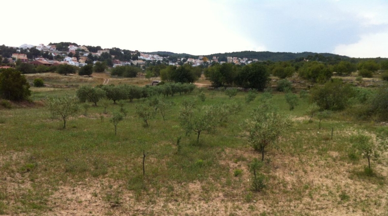 Tarragona - la Pobla de Montornès - 30000m2