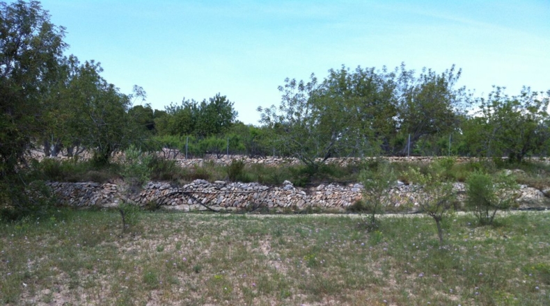 Tarragona - la Pobla de Montornès - 30000m2