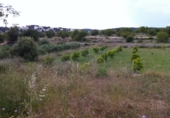 Parcela urbanizable en venta en la España, la Pobla de Montornès, ref: TR110922 foto