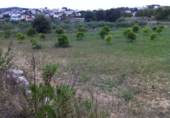 Parcela urbanizable en venta en la España, la Pobla de Montornès, ref: TR110922 foto