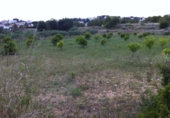 Parcela urbanizable en venta en la España, la Pobla de Montornès, ref: TR110922 foto