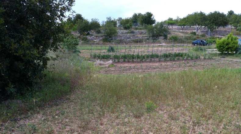 Tarragona - la Pobla de Montornès - 30000m2