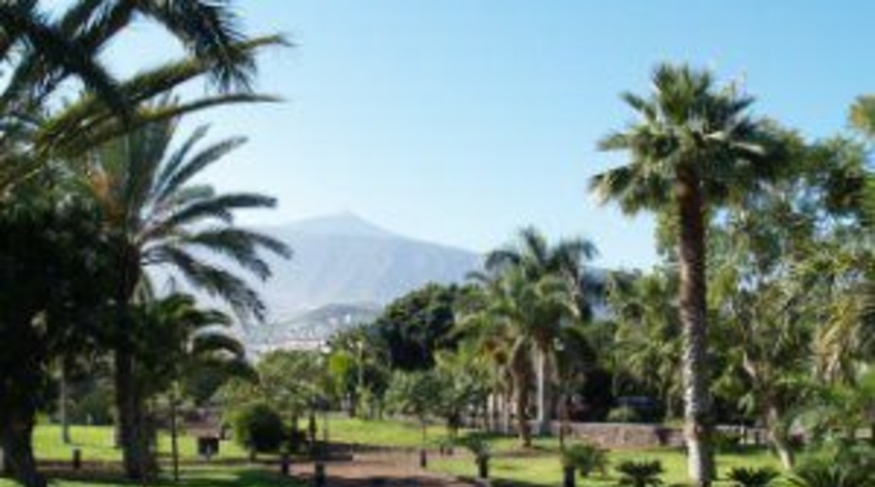 Santa Creu de Tenerife - Las Dehesas - 435m2