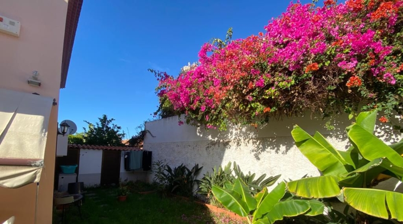 Santa Cruz de Tenerife - Puerto de la Cruz - 96m2