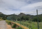 Terreny no urbanitzable en venda a la Vall d'Uixó ref.: TR234286 foto