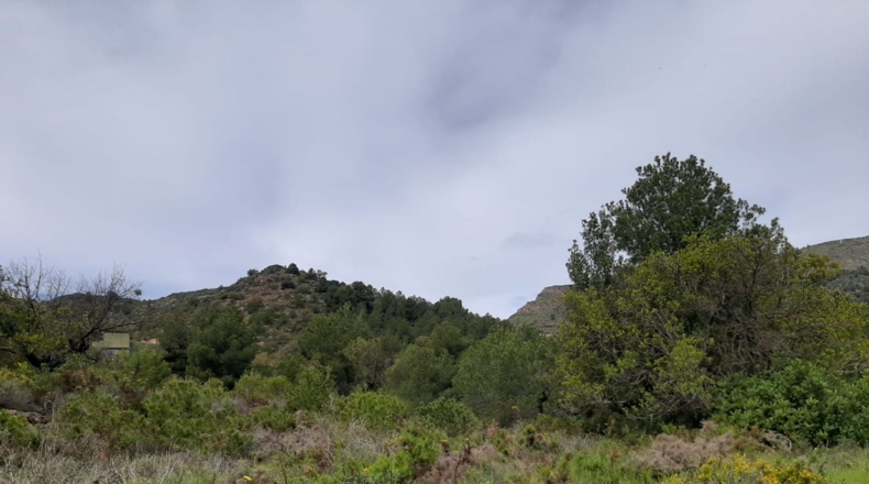Castellon - la Vall d'Uixó - 15615m2