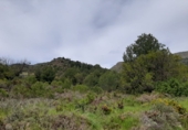 Sòl urbà en venda a la Vall d'Uixó ref.: TR234250 foto