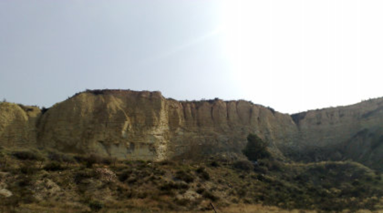 Murcia - Cieza - 7050m2