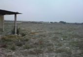 Casa de camp amb terreny en venda a Cieza ref.: TR191286 foto