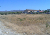Terreny no urbanitzable en venda a Cieza ref.: TR110792 foto