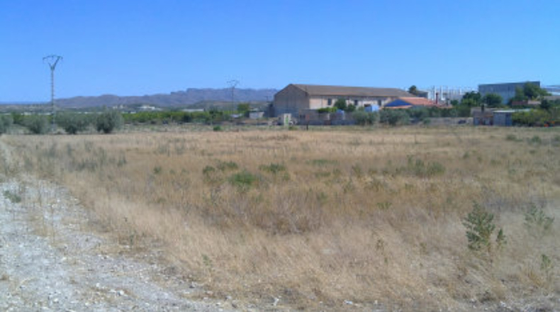 Murcia - Fuente Ascoy - 8600m2