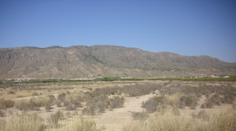 Alicante - Pinoso - 47000m2