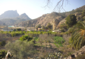 Casa de campo con terreno en venta en Cieza ref: TR209624 foto