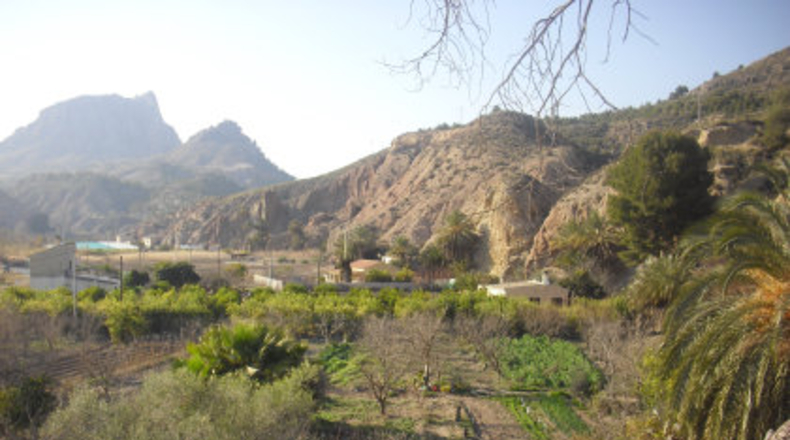 Murcia - Cieza - 27000m2