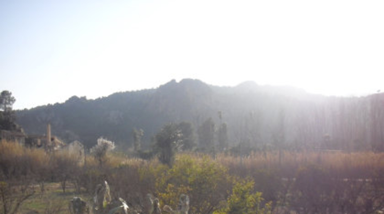Murcia - Cieza - 27000m2