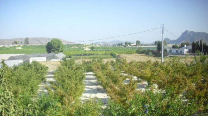 Córdoba - Córdoba - 7000m2