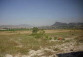 Terreny no urbanitzable en venda a Cieza ref.: TR110790 foto