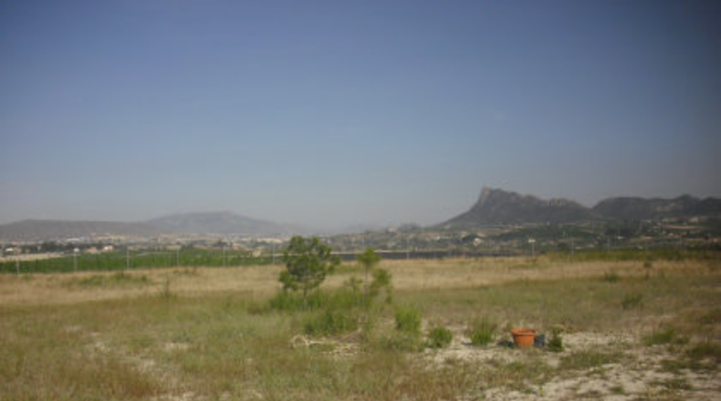 Murcia - Cieza - 5500m2
