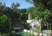 Casa de camp amb terreny en venda a Ricote ref.: TR209620 foto