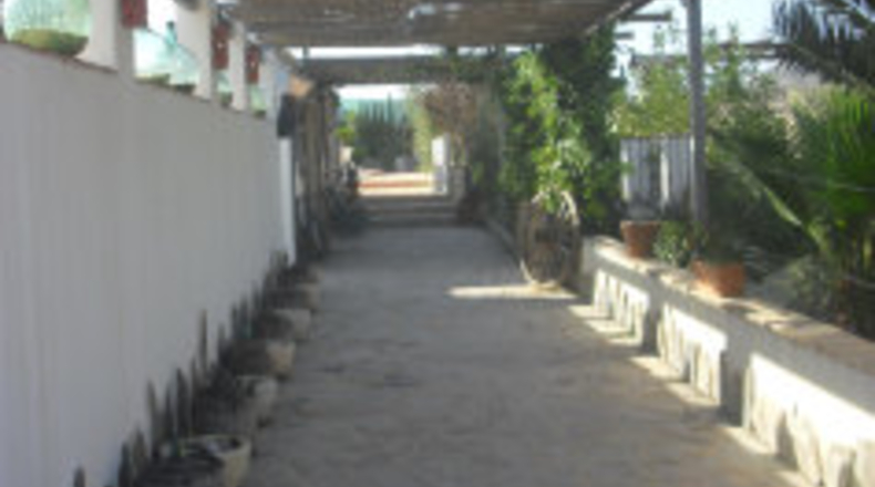 Murcia - Las Ventanas - 2400m2