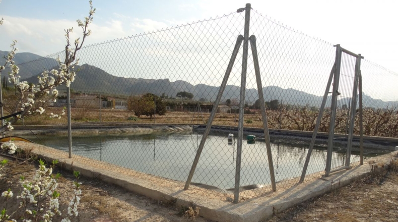 Murcia - Perdiguera - 9000m2