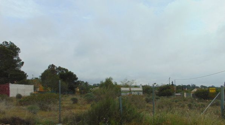 Murcia - Molina de Segura - 2019m2