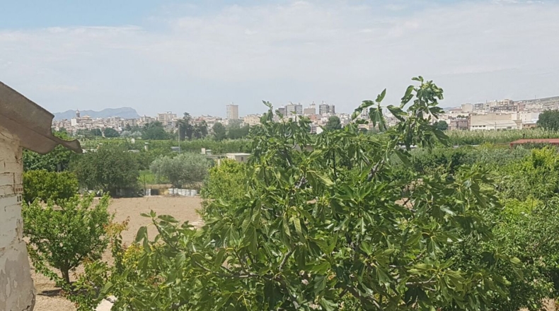 Murcia - Cieza - 7700m2