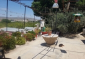 Country house with land for sale in Cieza ref: TR188832 photo