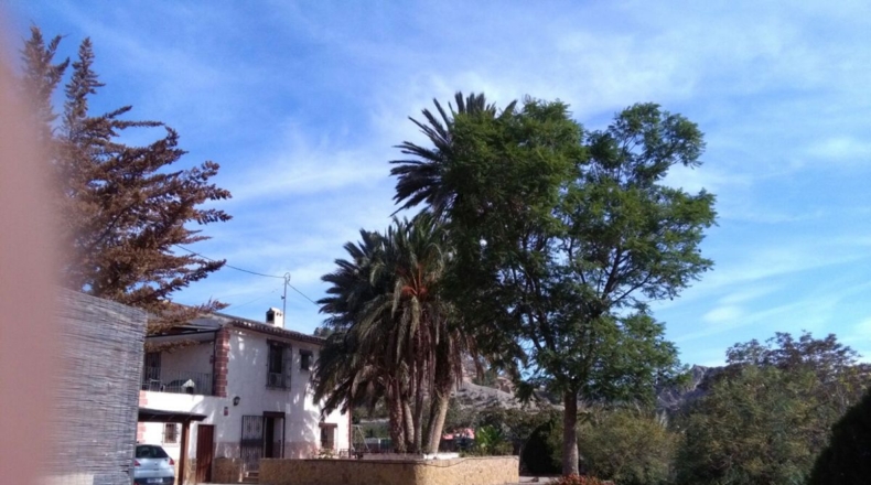 Murcia - Abarán - 6900m2