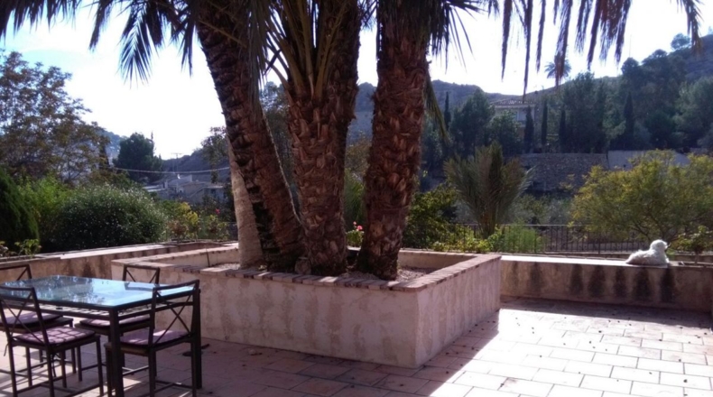 Murcia - Abarán - 6900m2