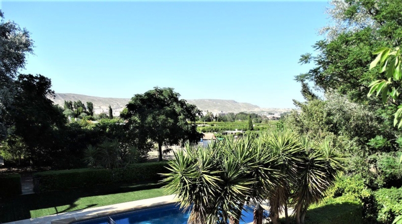 Murcia - Cieza - 11200m2