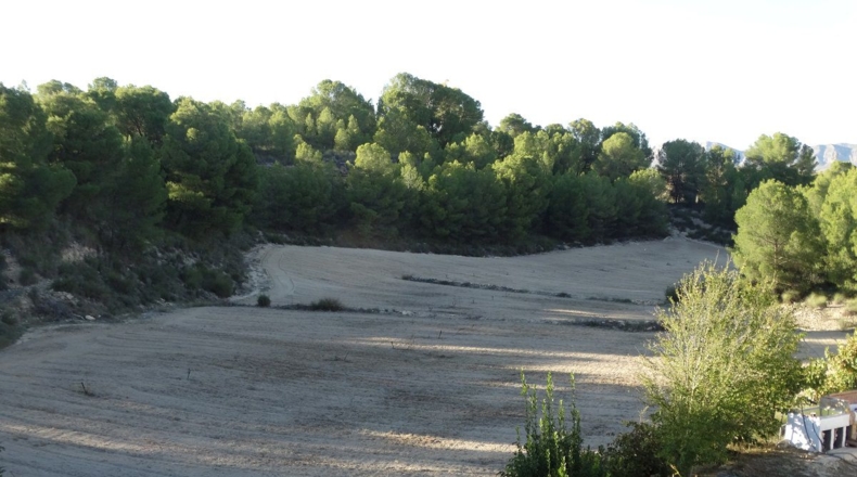 Múrcia - Almadenes - 14000m2