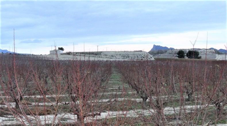 Murcia - Cieza - 13000m2