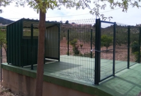Foto 6