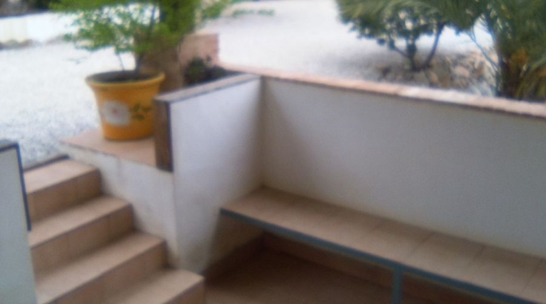 Murcia - Abarán - 10000m2