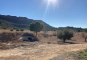 Casa de campo con terreno en venta en Cieza ref: TR202023 foto