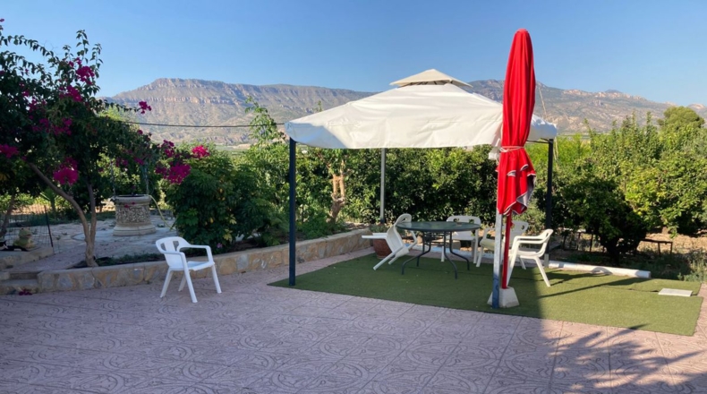 Murcia - Tollos - 3400m2