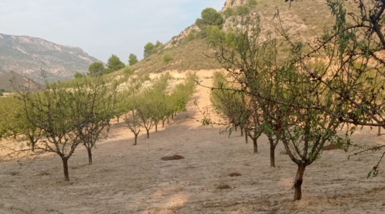 Murcia - Las Ventanas - 20300m2