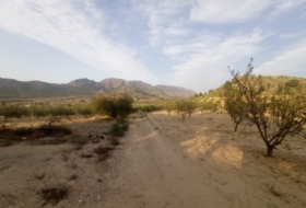 Foto 16