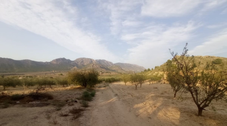 Murcia - Las Ventanas - 20300m2