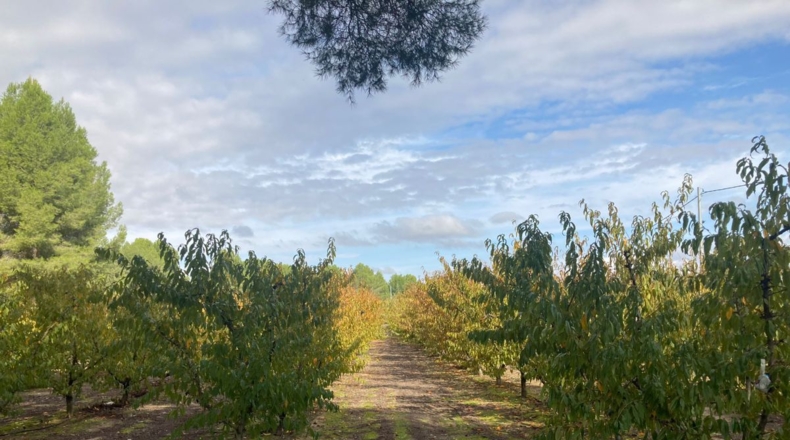 Murcia - Veredilla - 190m2